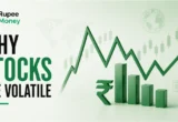 Professional infographic explaining why stocks are volatile, featuring stock market charts, price fluctuations, financial graphs, and investment visuals representing market volatility and changing share prices.
